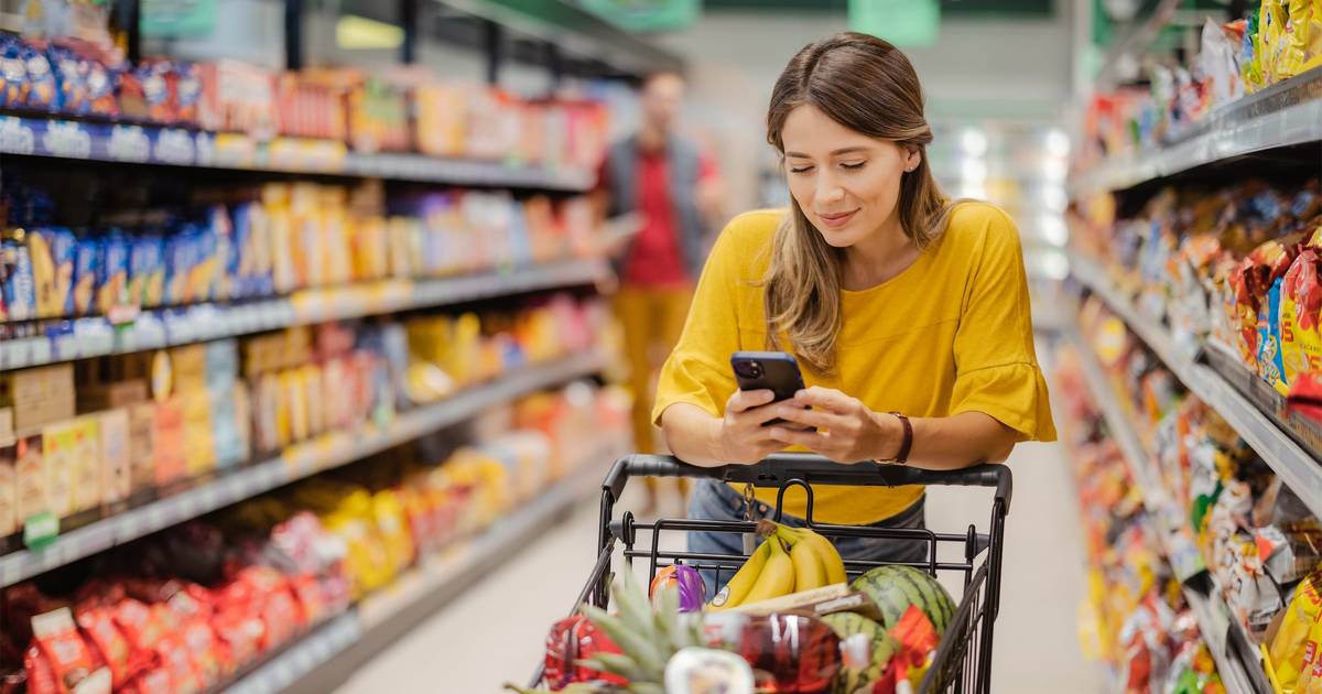 Grocery Stores Bird Control NJ, NY, CT Birds & Geese Beware, Inc